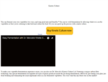 Tablet Screenshot of kinetic-culture.com